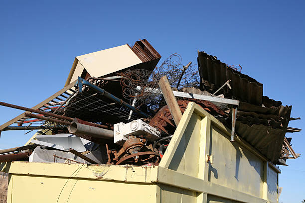 Best Yard Waste Removal  in Knox, IN